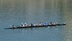 Mixed 8 e
